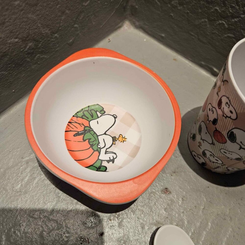 Peanuts Child Toddler Dish Set